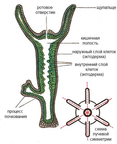 Войти в кракен