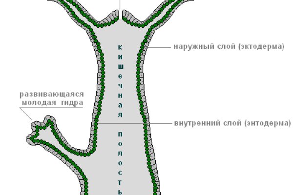 Кракен маркетплейс отзывы